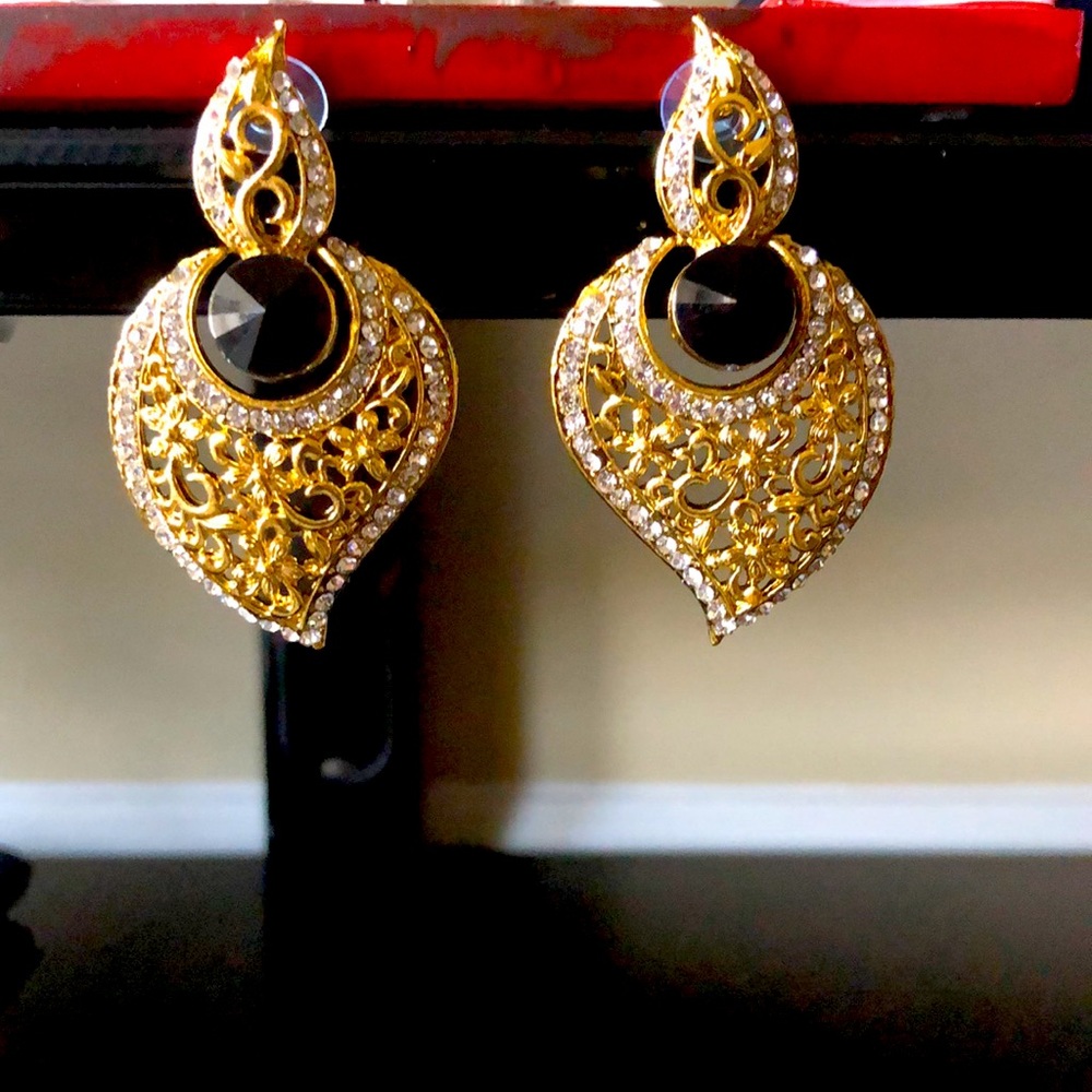 New Gorgeous fancy black earrings